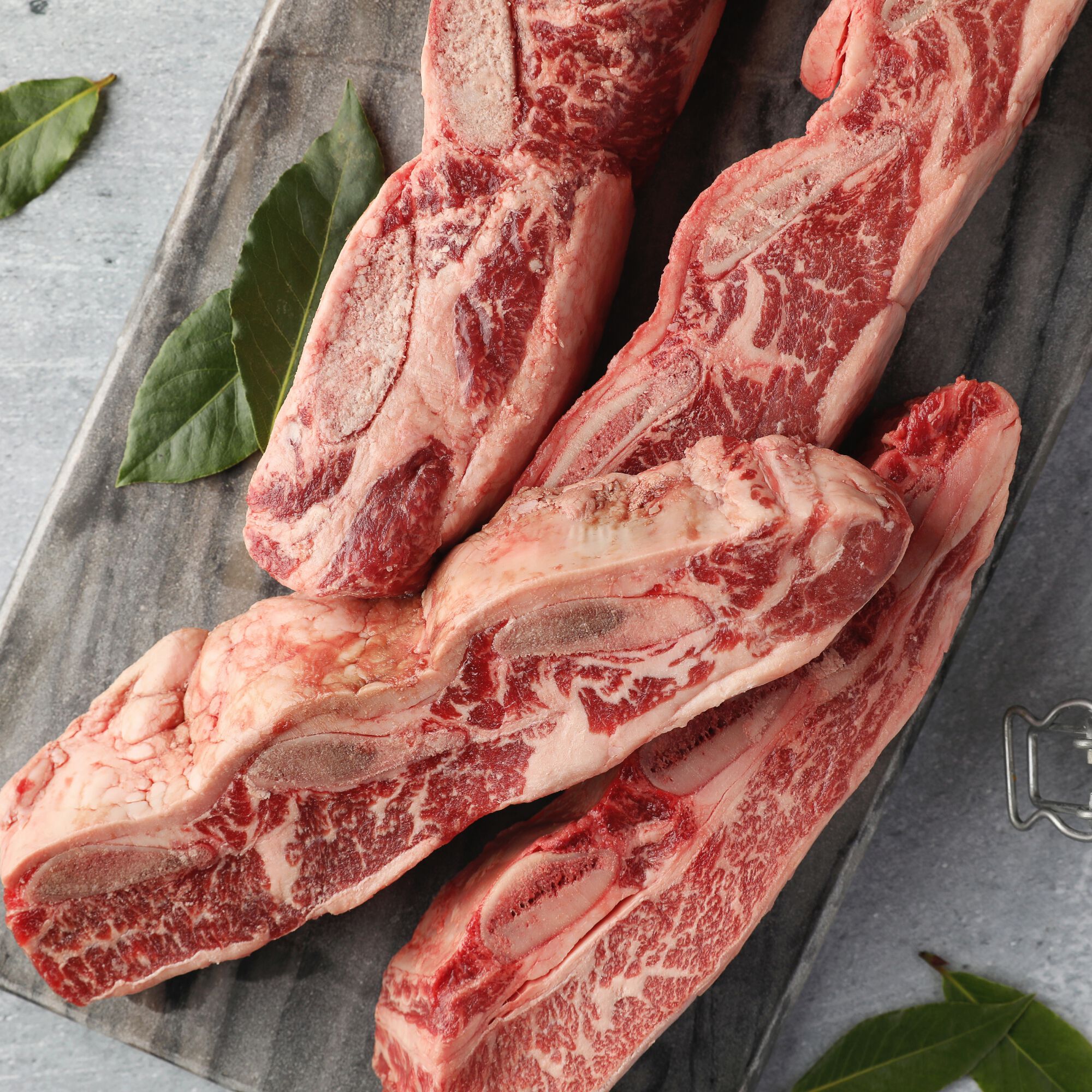 Angus Beef Short Ribs