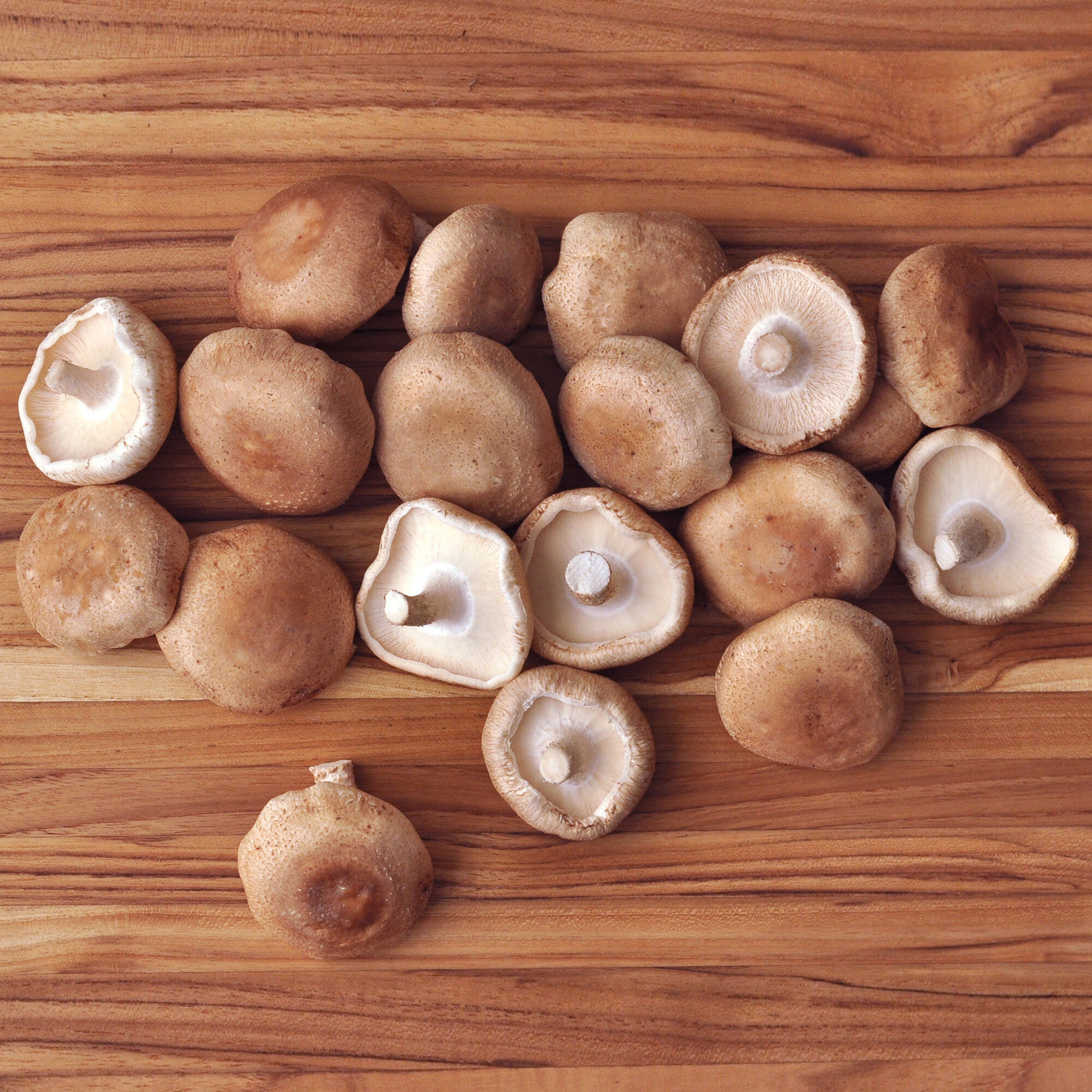 Organic Shiitake Mushrooms