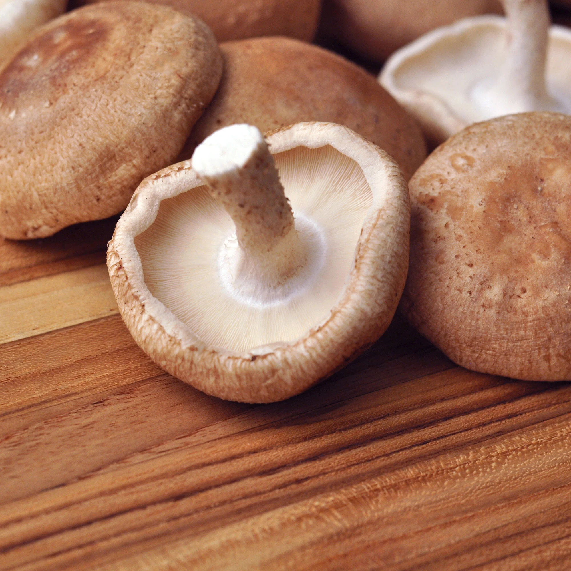 Organic Shiitake Mushrooms