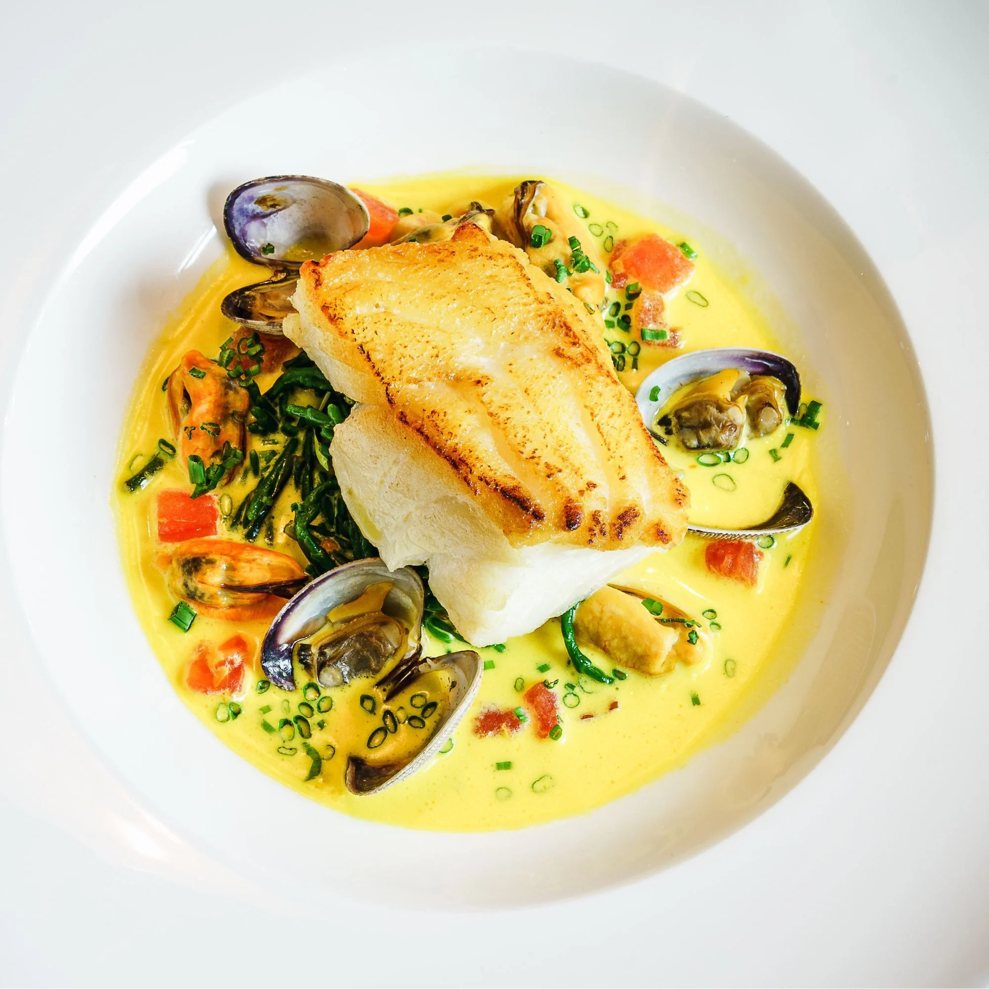 Chilean Sea Bass