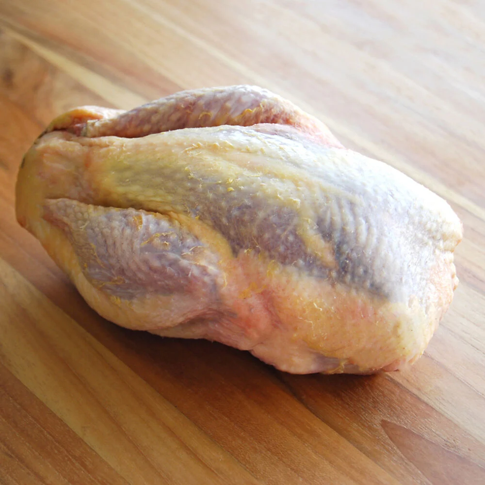 Wild Scottish Pheasant