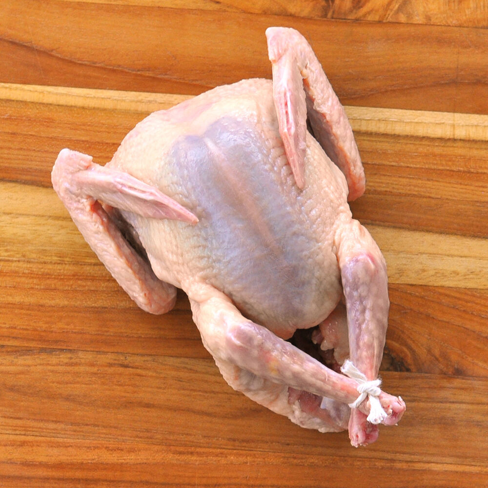 Squab, Whole