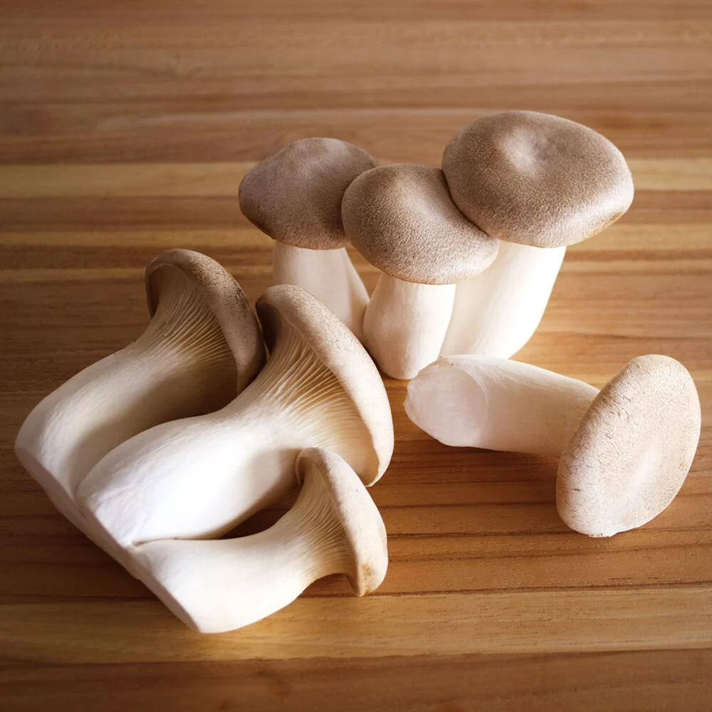 Organic King Trumpet Mushrooms