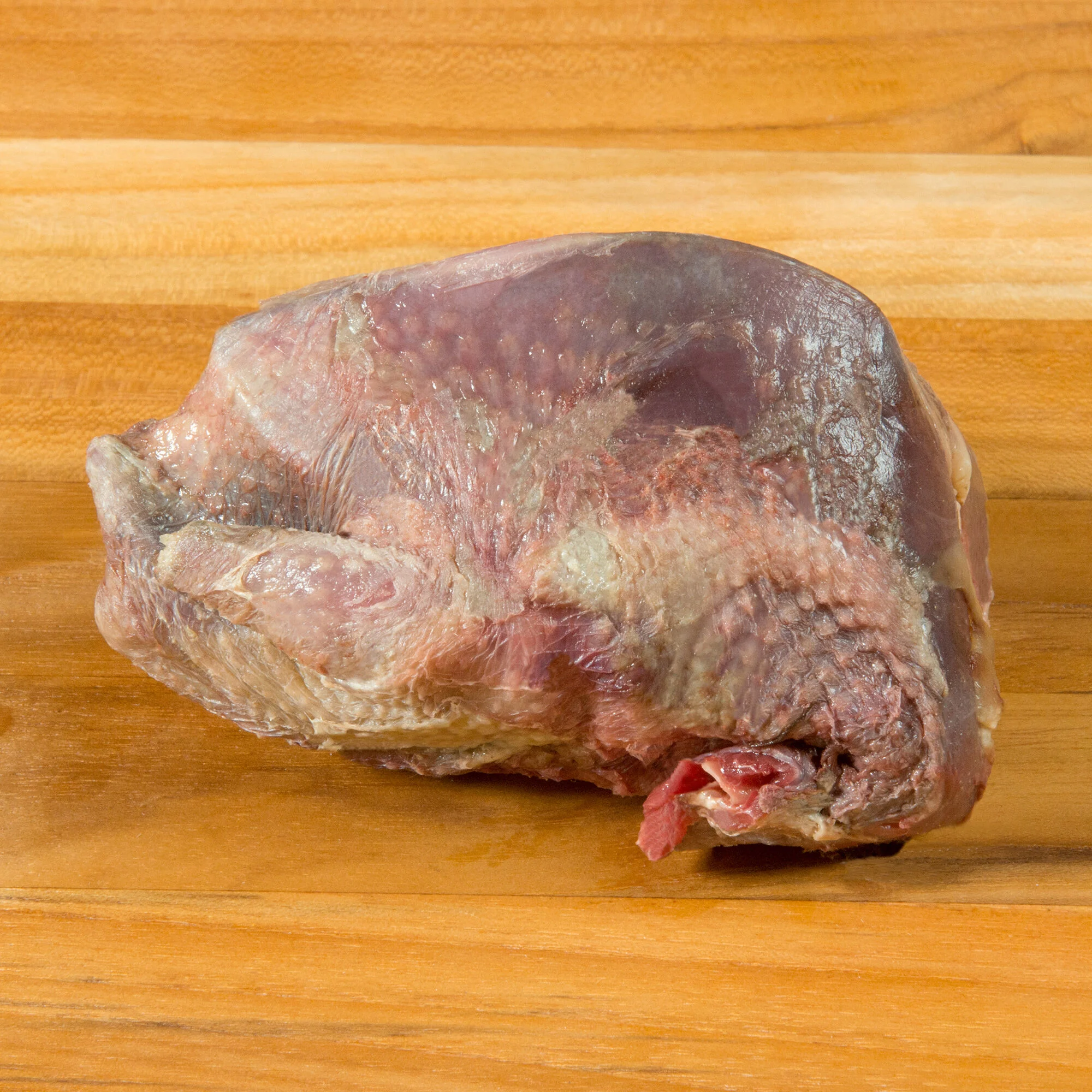 Wild Scottish Wood Pigeon